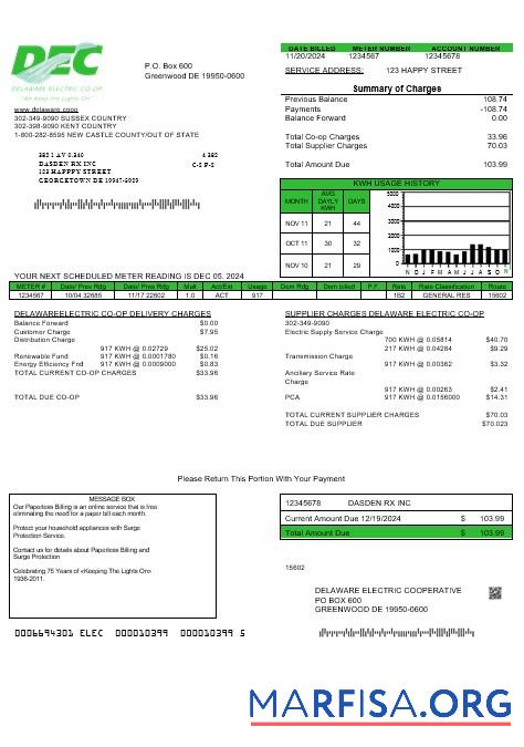 Realistic USA Delaware Electric Co op business utility bill template in Word and PDF formats